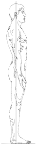 Upright man